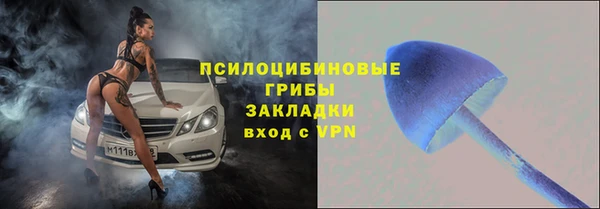 дурь Бородино