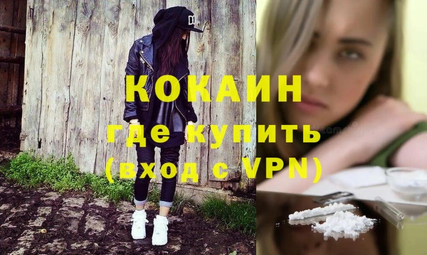дурь Бородино