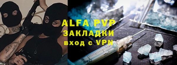 дурь Бородино
