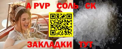 индика Гатчина