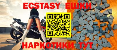 индика Гатчина