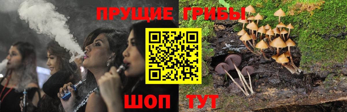 Галлюциногенные грибы Magic Shrooms  Гай 