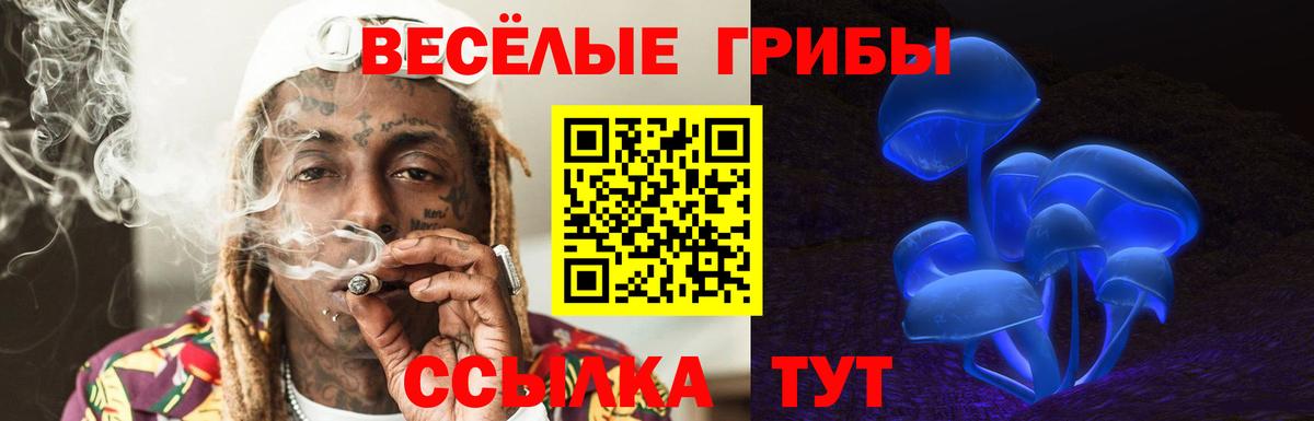 Псилоцибиновые грибы мицелий  Псилоцибиновые грибы мицелий  где можно купить   Гай  Вход с VPN 