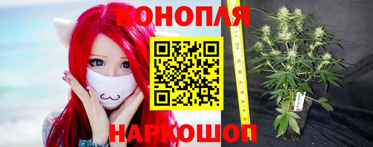 Бошки марихуана VHQ Гай