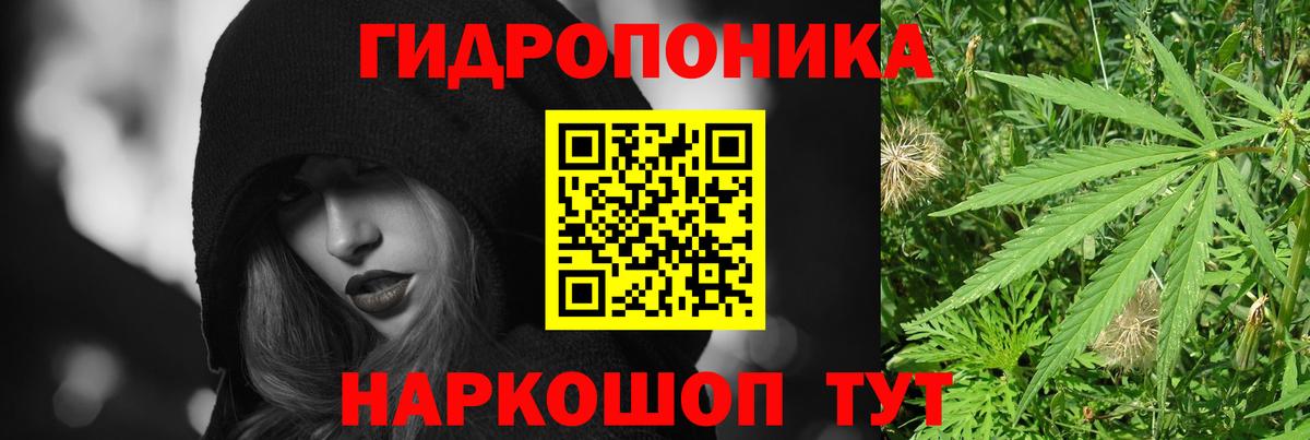 Бошки Шишки SATIVA & INDICA  Вход с VPN  Бошки Шишки индика  Гай 